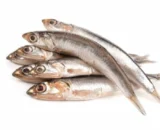 Big Anchovy -1 KG