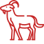 MEAT