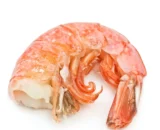 Large prawns – KG