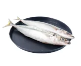 Linno (Modhu)- KG